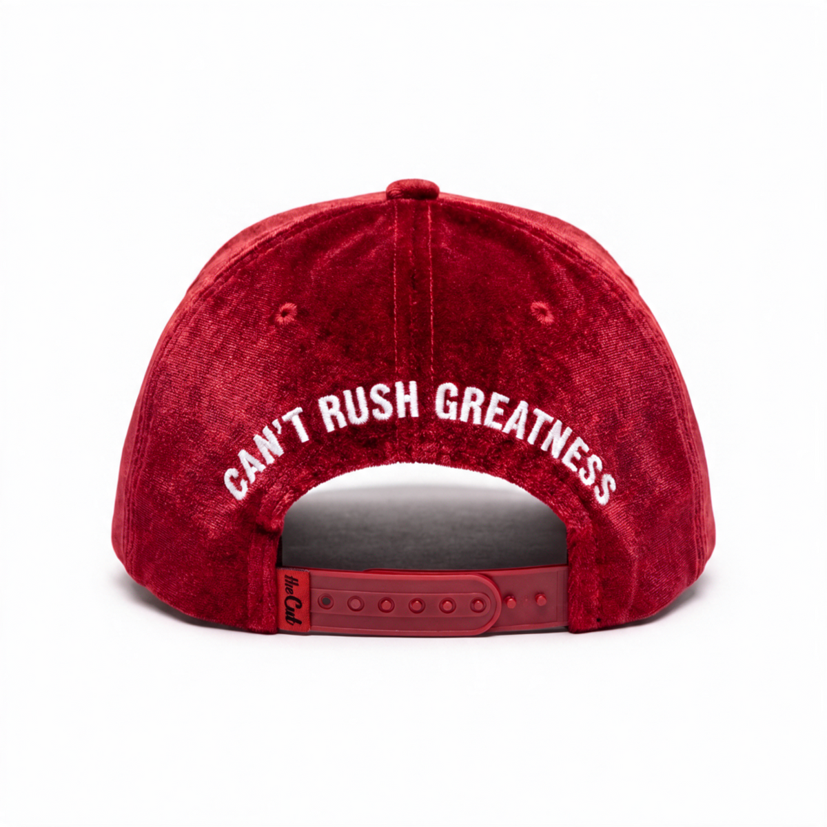theCut Snapback Hat - Burgundy