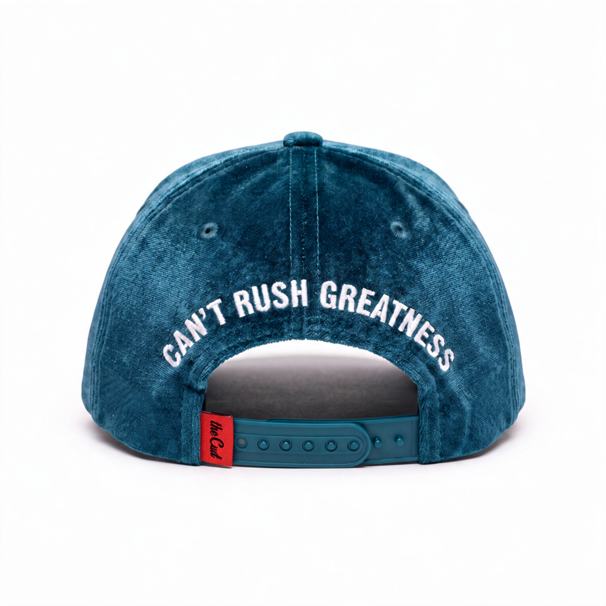 theCut Snapback Hat - Teal