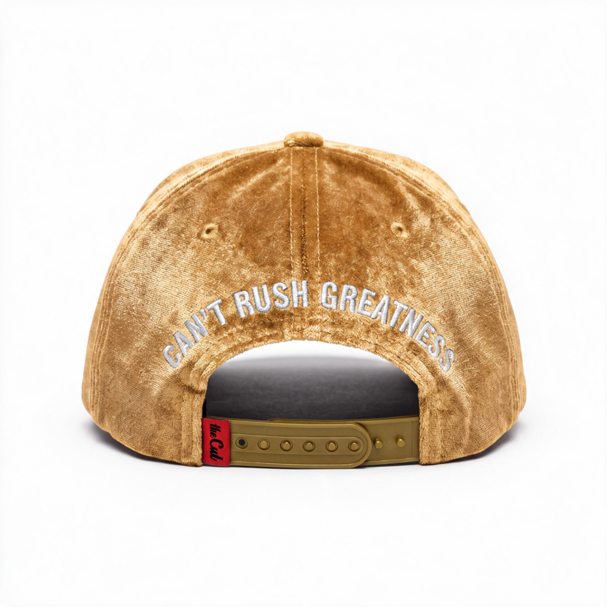 theCut Snapback Hat - Beige