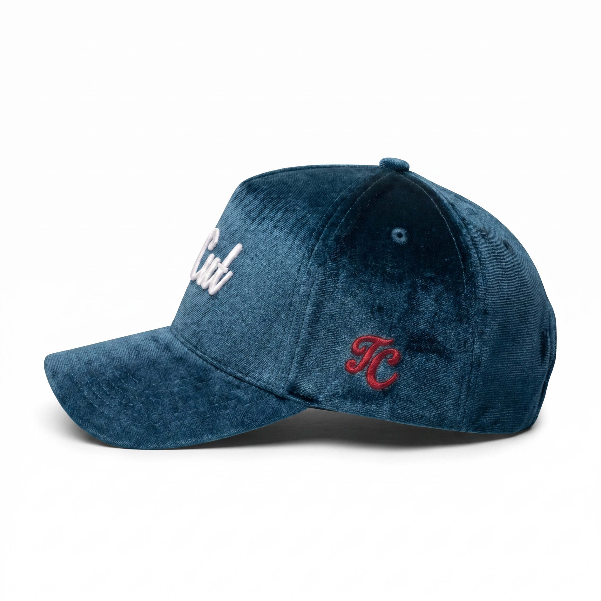 theCut Snapback Hat - Teal
