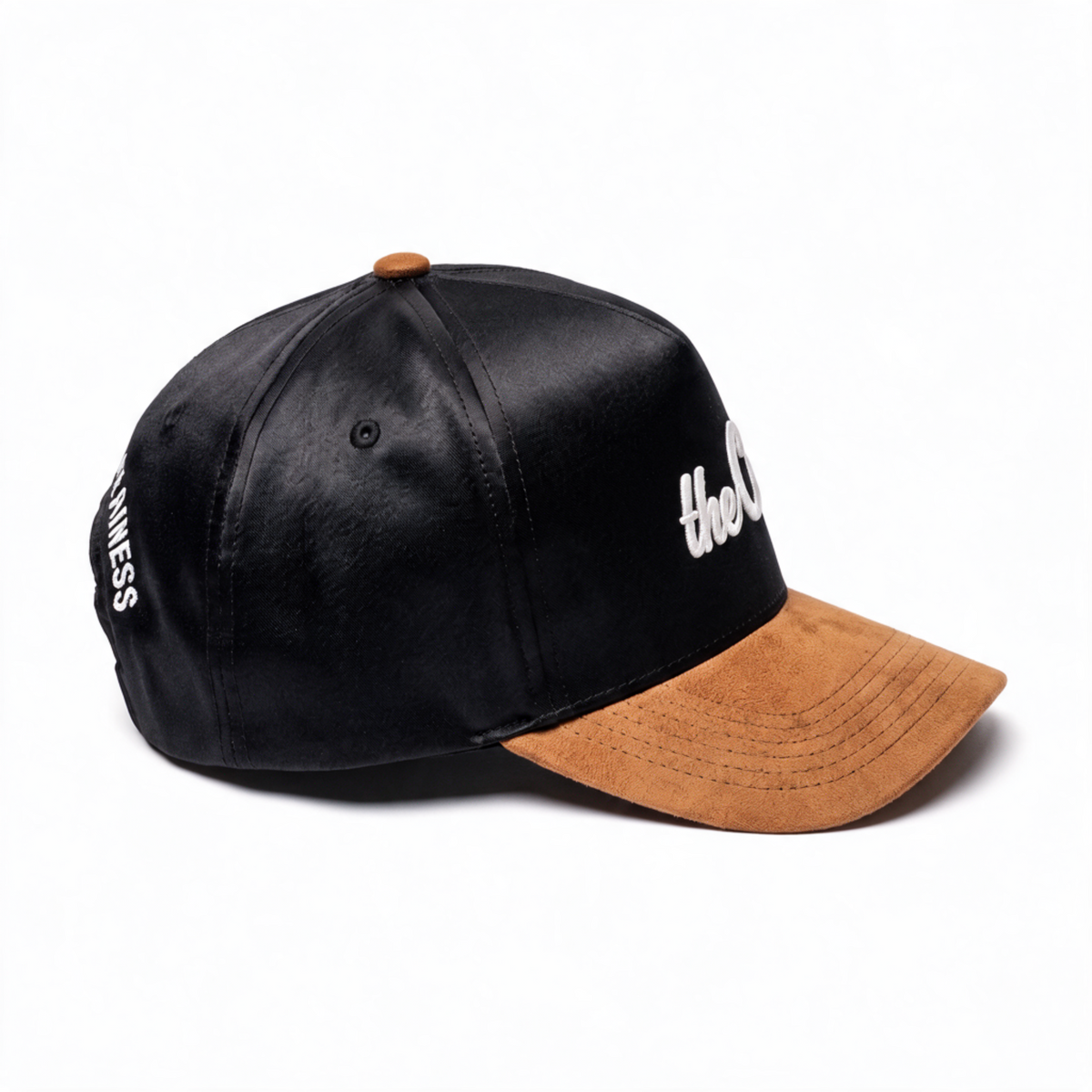 theCut Snapback Hat - Satin & Suede