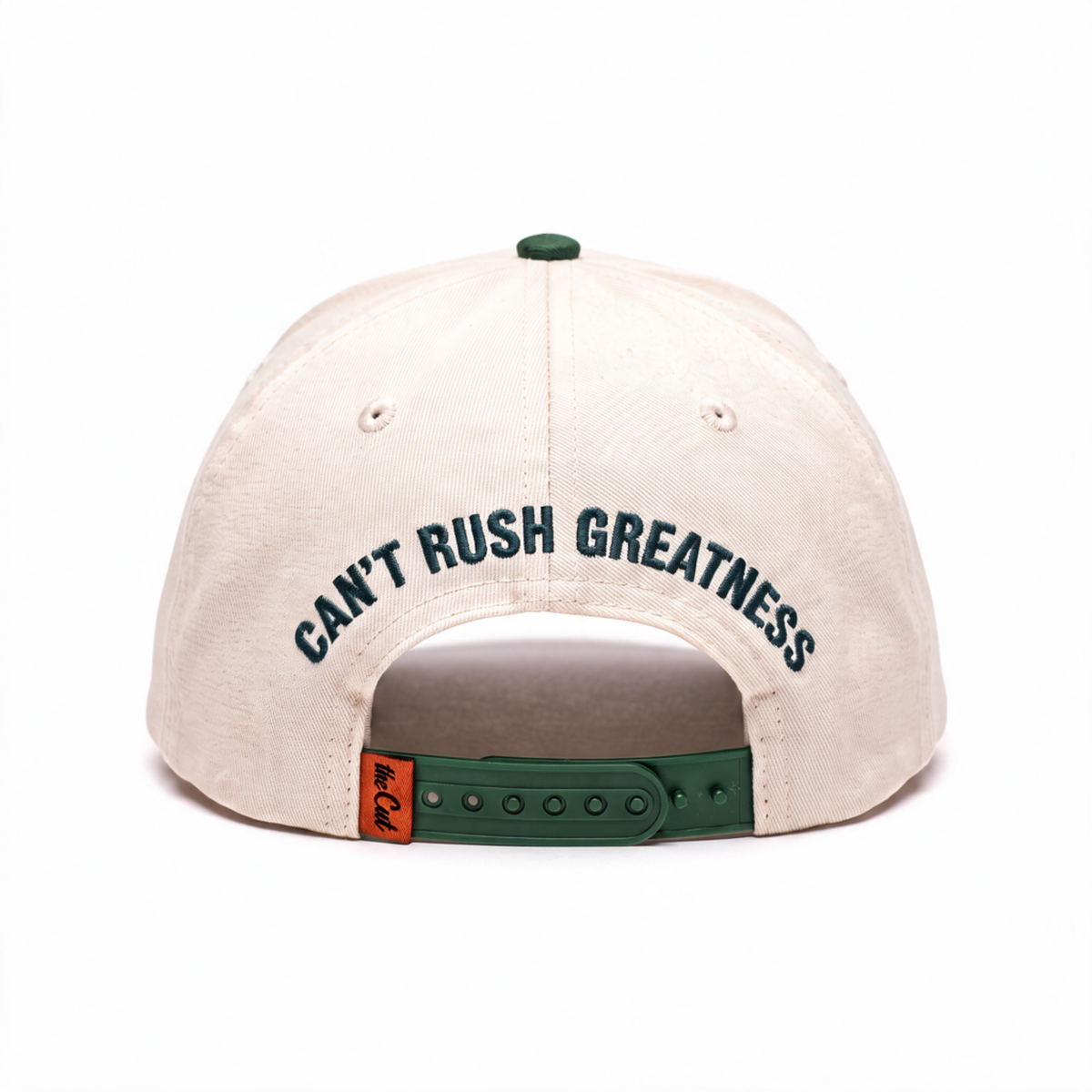 theCut Snapback Hat - Beige & Green