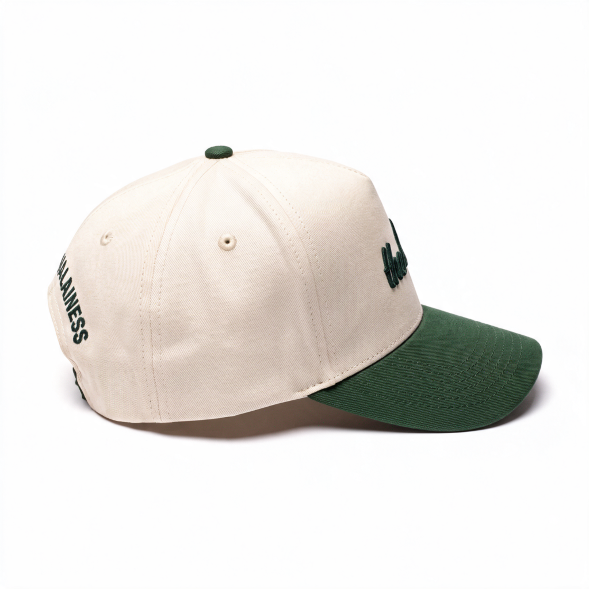 theCut Snapback Hat - Beige & Green