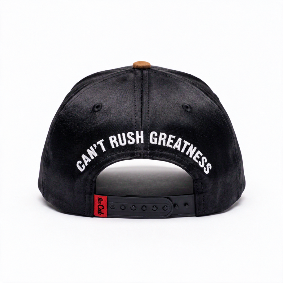 theCut Snapback Hat - Satin & Suede