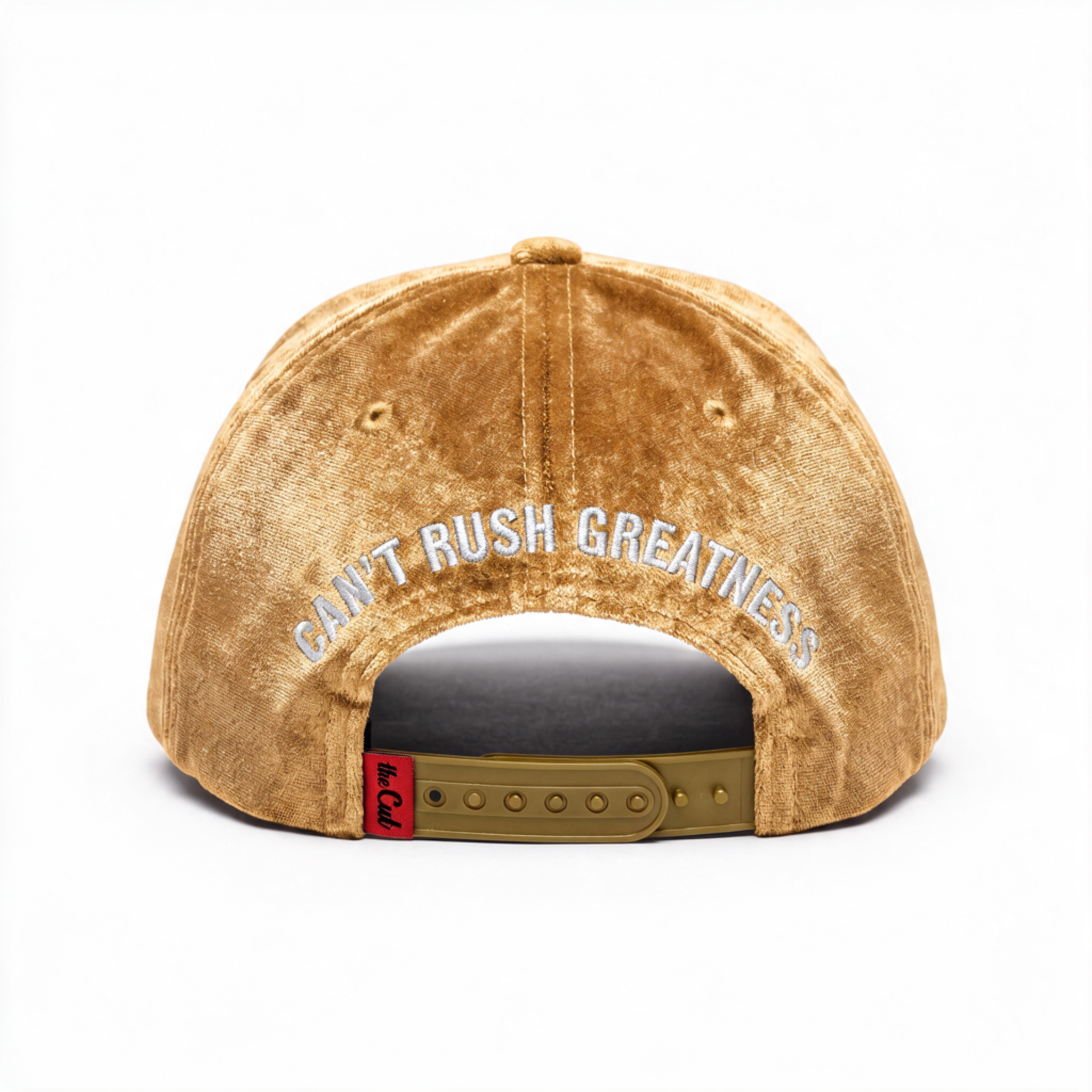 theCut Snapback Hat - Beige